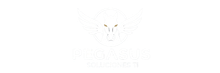 Pegasus Soluciones TI