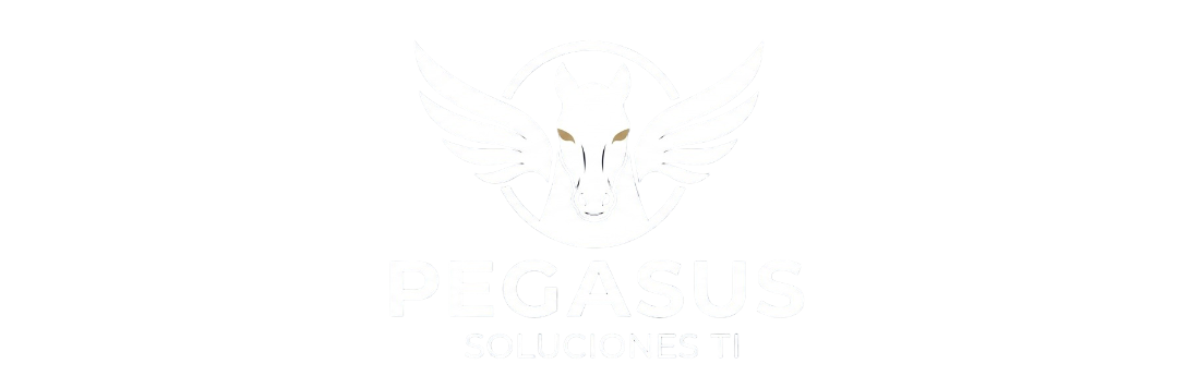 Pegasus Soluciones TI